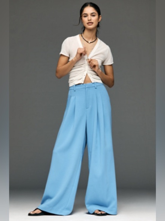 Anthropologie Pants - Anthropologie NWT Avery Wide-Leg Pleated Trousers by Maeve - M